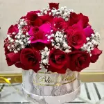 Baby's-breath