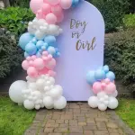 Gender Reveal Setup