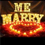 7 LED Marquee Letter Light