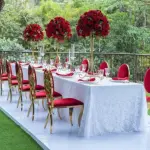 Luxe Seats