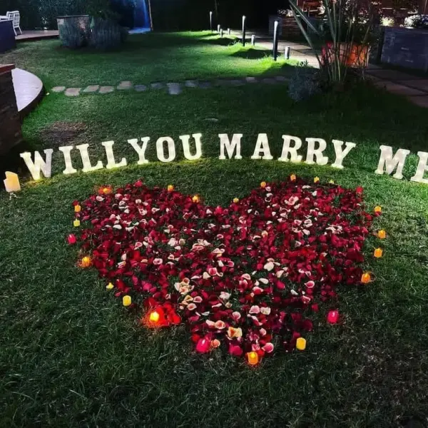 Proposal Setup